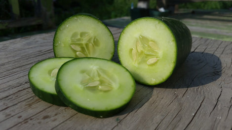 Concombre et Melon