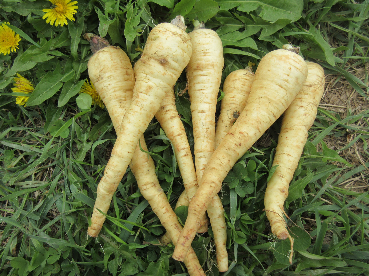 Coo Coo Roots Root Vegetables – Ferme Coop du Moulin