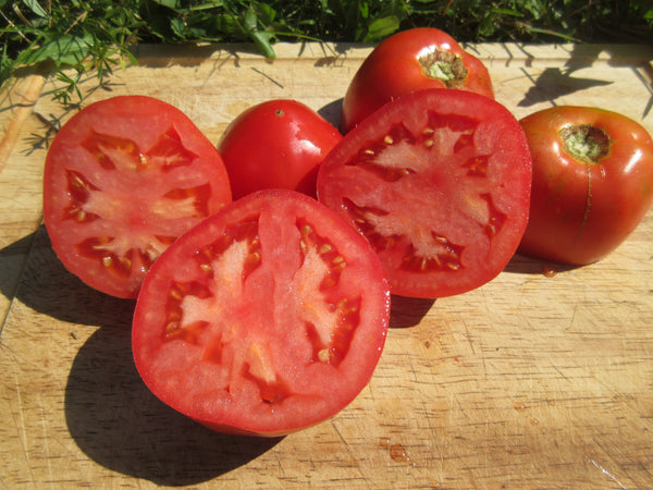 Graines de tomate Amish paste, tomates coupés au soleil, Graines, Semence de tomates, Semences bio,   semences ancestrales, tomate italienne, seeds, tomato seeds, Semences pour jardin, Semenc
