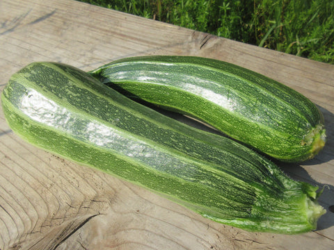 Courgette Cocozelle