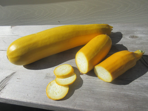 Courgette Golden