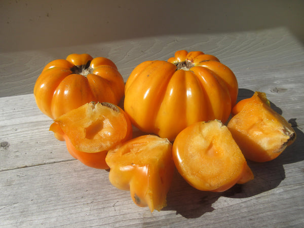 Graines de tomate accordeon orange, semences bio, tomate bio coupée en quartier, semences du québec, semis tomate, semenc