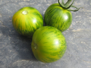 Tomate Green Zebra