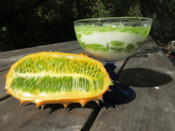 Graines de melon kiwano, recette sugérée de Kiwano, Graines, Semence de melon, Semences bio,   semences ancestrales, seeds, melon seeds, Semences pour jardin, Semenc