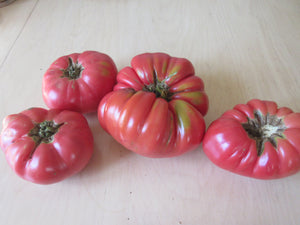 Tomate Prudens Purple, Semence Prudens Purple, Semence de tomate, Tomate Beef, Graines de tomates, Semences du Québec, Semences locales, Semences adaptées aux climats froids 