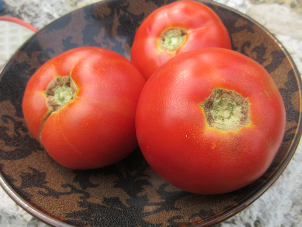 Semences tomates, semences Bizhiki, Semences du Québec, Semences adaptées au froid, Semences légumes, Semences locales, Semences Bas-st-Laurent, Semences Basques, Semences Trois-Pistoles