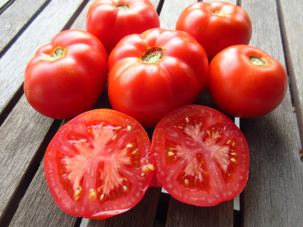 Tomate Québec #13, Semence Québec #13, Semence de tomate, Graines de tomates, Semences du Québec, Semences locales, Semences adaptées aux climats froids, 