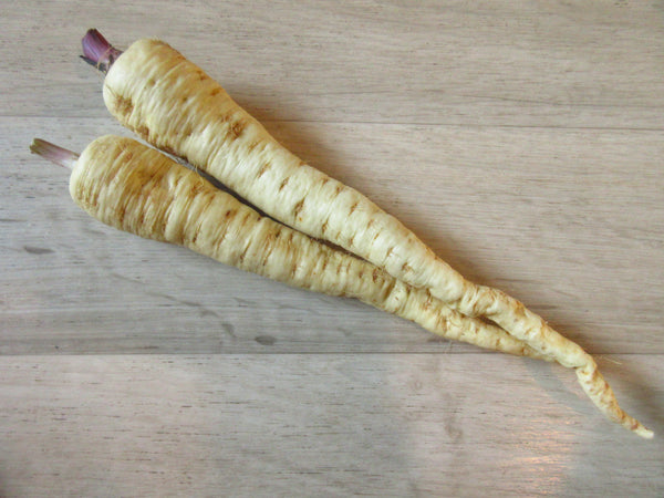 Panais, Panais Halblange, Semences Panais Halblange, graines de Panais Halblange, Semences du Québec, Semences adaptées au froid, Semences légumes, Semences locales, Semences Bas-st-Laurent, Semences Trois-Pistoles