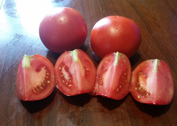 Semences tomates, semences Bizhiki, Semences du Québec, Semences adaptées au froid, Semences légumes, Semences locales, Semences Bas-st-Laurent, Semences Basques, Semences Trois-Pistoles