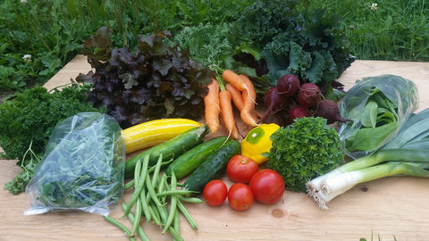 Panier légumes, Légumes écologiques Trois-Pistoles, Ferme légumes locaux, Panier de légumes Bas-St-Laurent, Paniers de légumes Basques, Paniers de légumes Trois-Pistoles